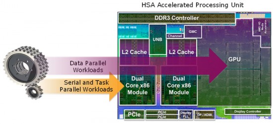 hsa-overview
