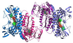 genomics