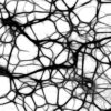 neurons-440660_960_720