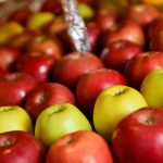 Assessing software is never comparing apples to apples