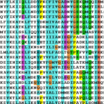 sequence_alignment